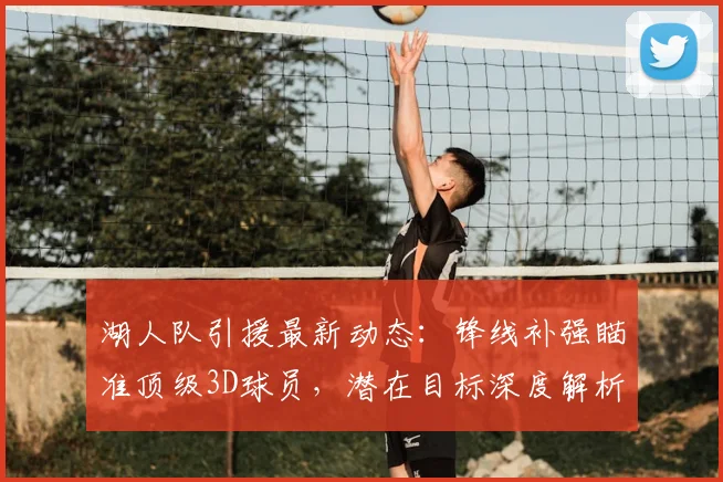 湖人队引援最新动态：锋线补强瞄准顶级3D球员，潜在目标深度解析